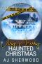 [Mack's Marvelous Manifestations 01] • Brandon's Very Merry Haunted Christmas
